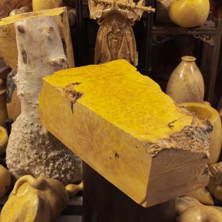 大***夫木木料木料木楼了