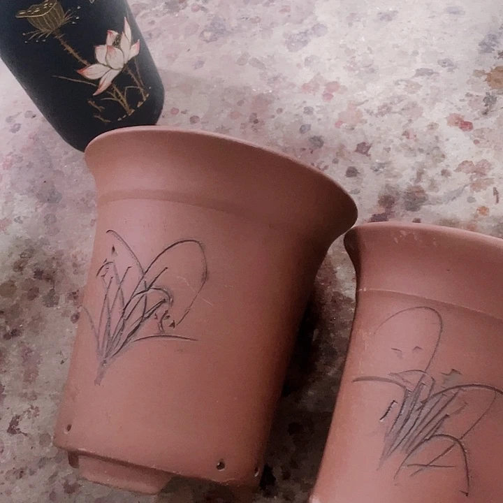 紫砂兰花盆2花片花哦