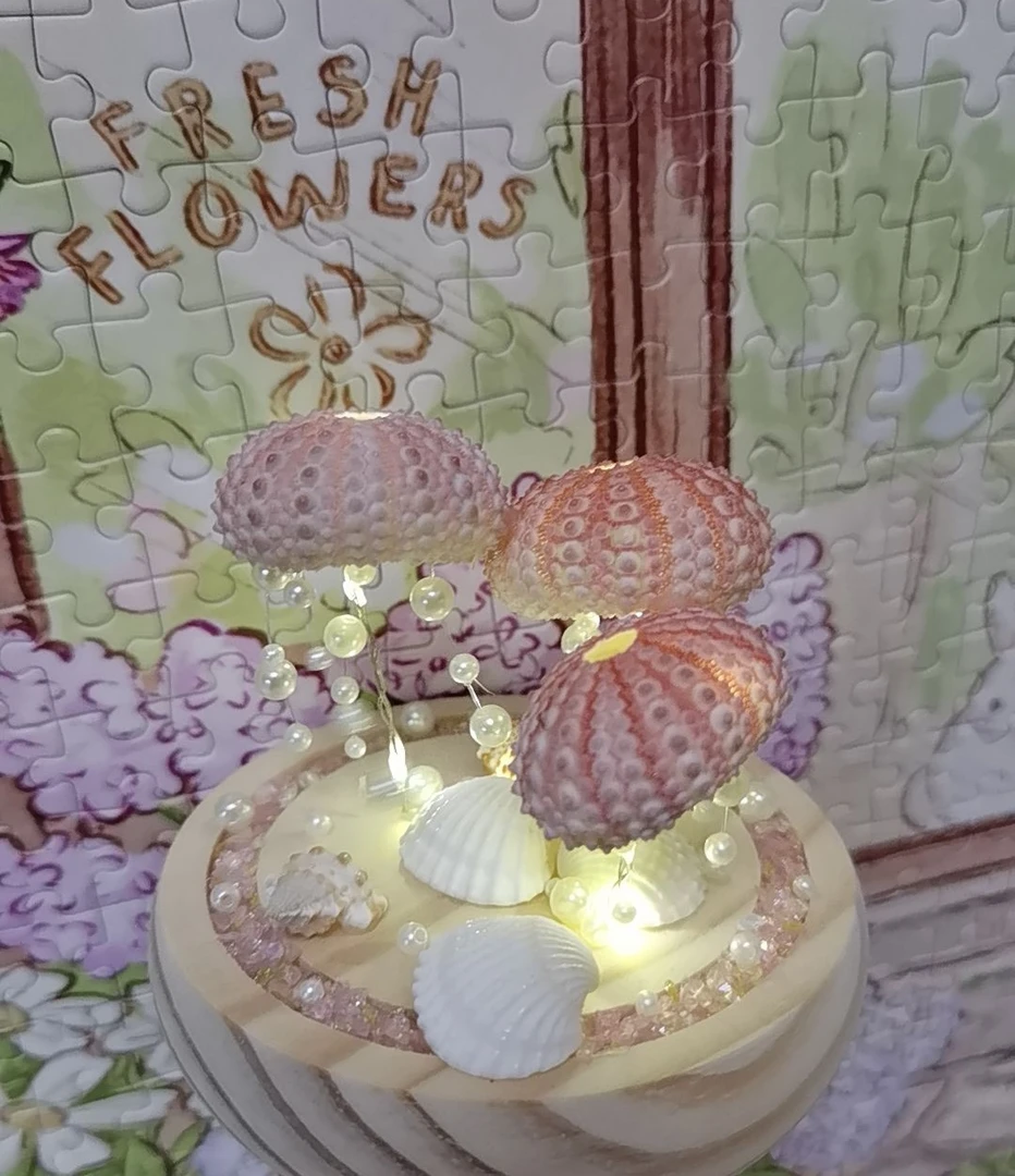 梦幻水母造型粉色海胆壳海螺贝壳氛围感手作小夜灯