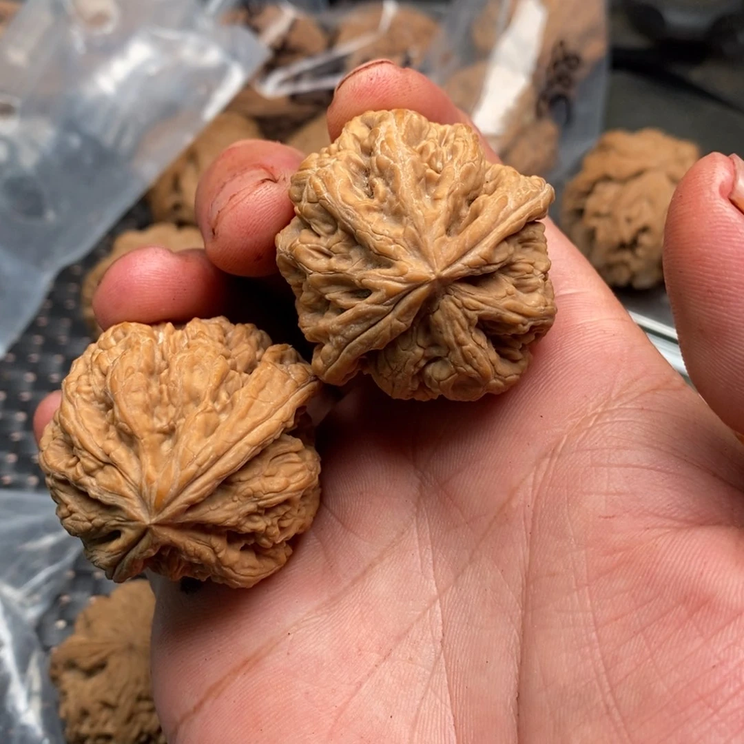 吊坠文玩核桃大粗筋
