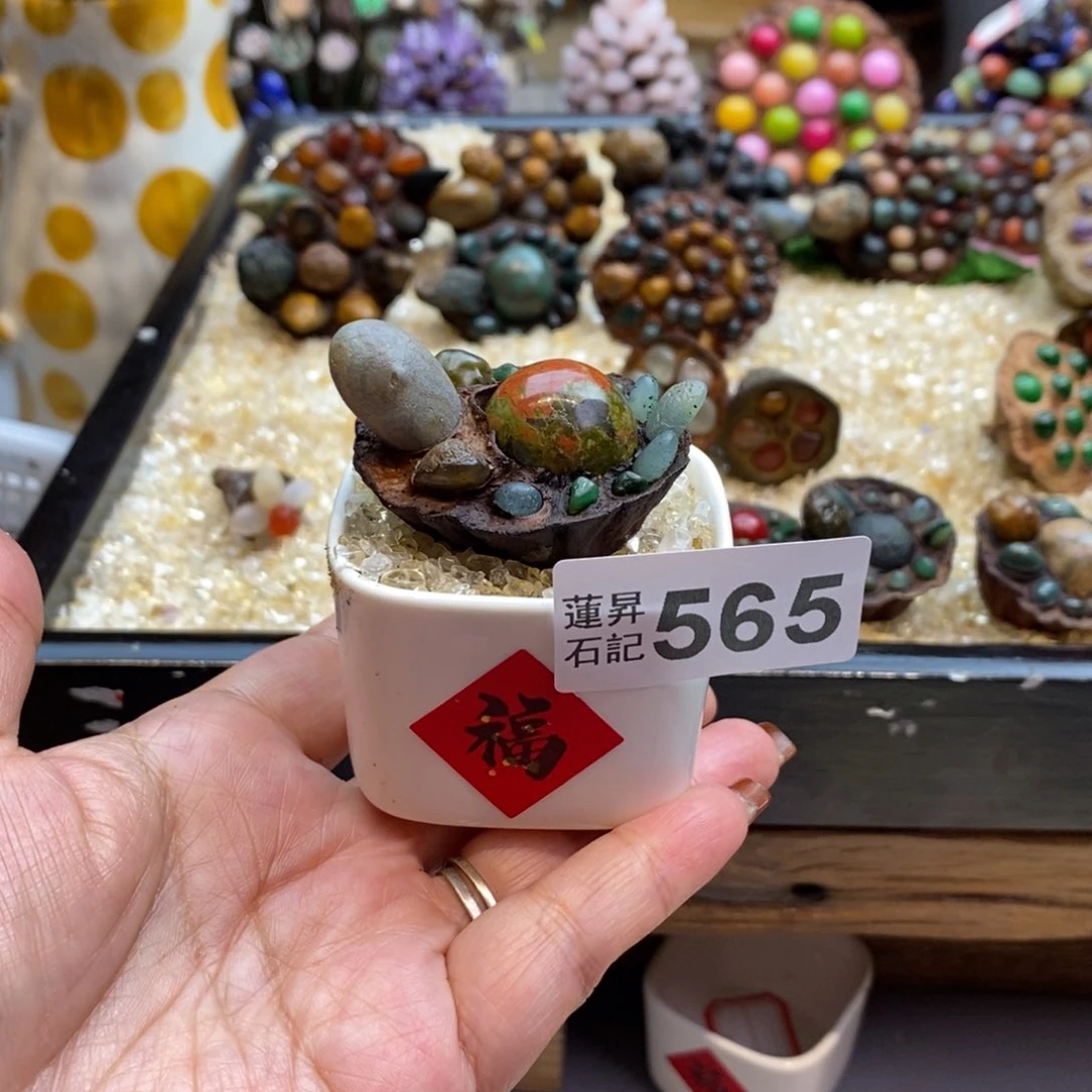 核桃木/黑胡桃（胡桃木）是**啊565