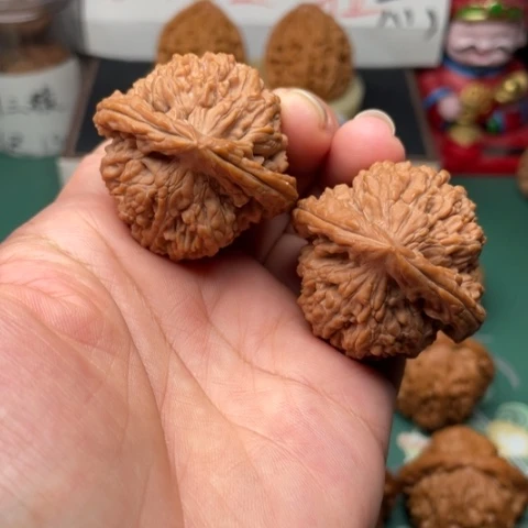 【闪购商品】文玩核桃把件40+全品蚂蚁王