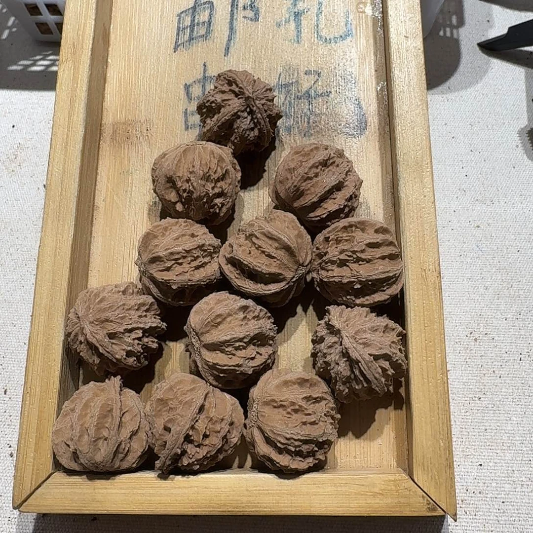 核桃手串/手链71号边26肚26高25