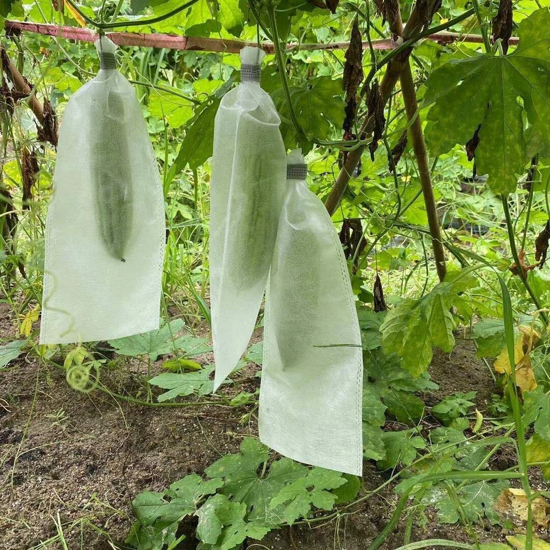 丝瓜套袋无纺布无纺布防虫袋套袋 瓜果丝瓜节瓜苦瓜防果蝇防鸟袋