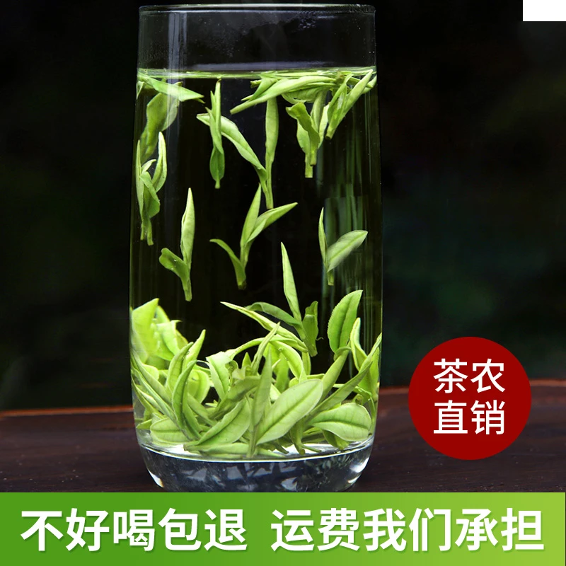 【618船哥专属福利】 开园头采安吉白茶2025新茶安吉白茶