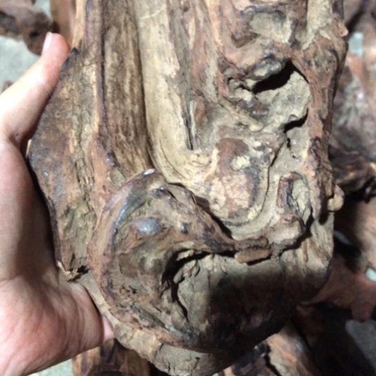 其他黄花梨/降香黄檀