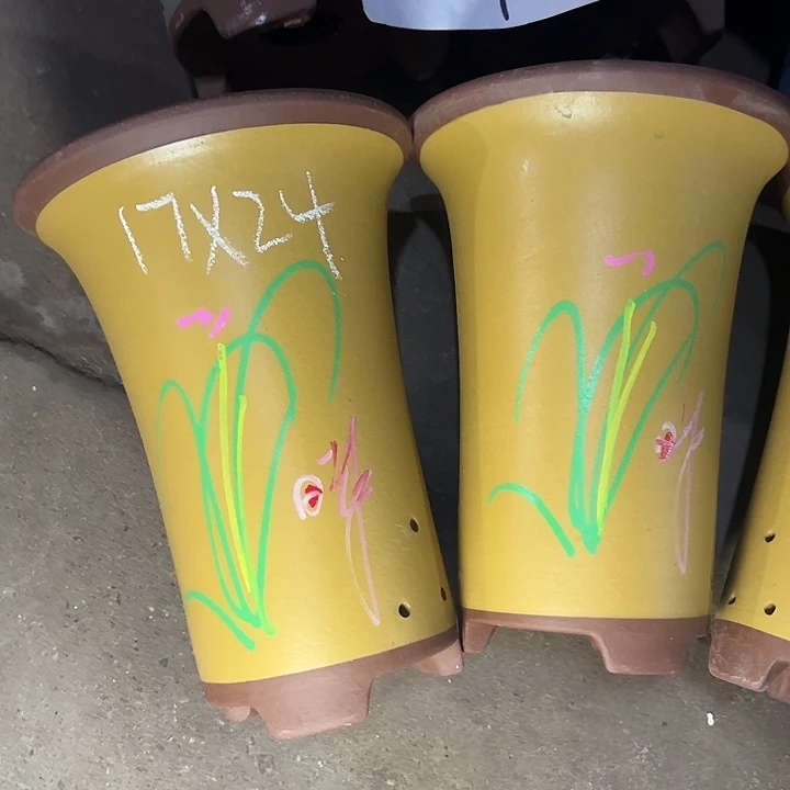 周深周深周深周深