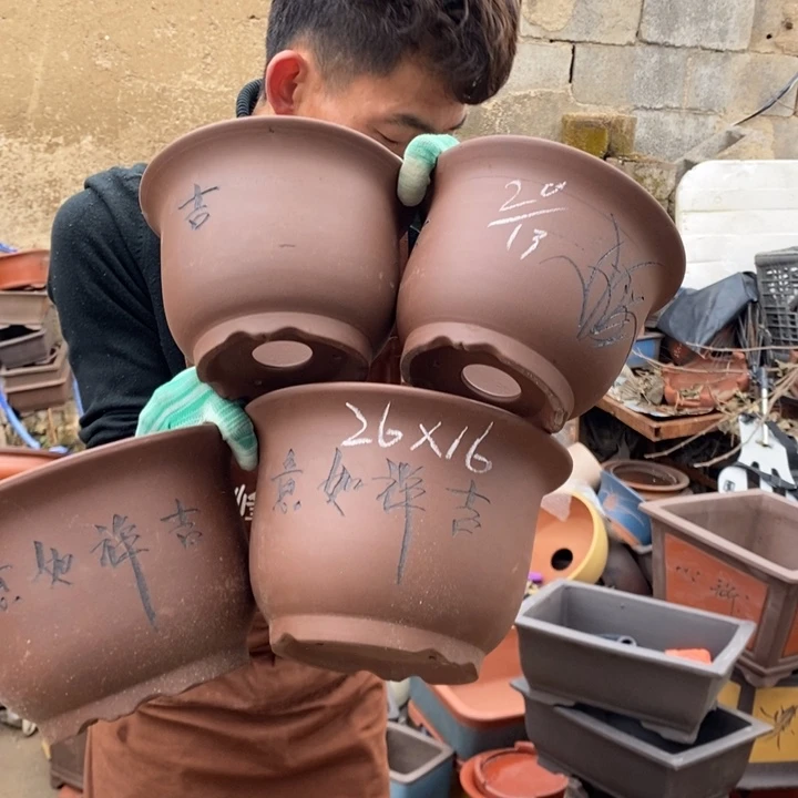 红陶你的生活是我的最