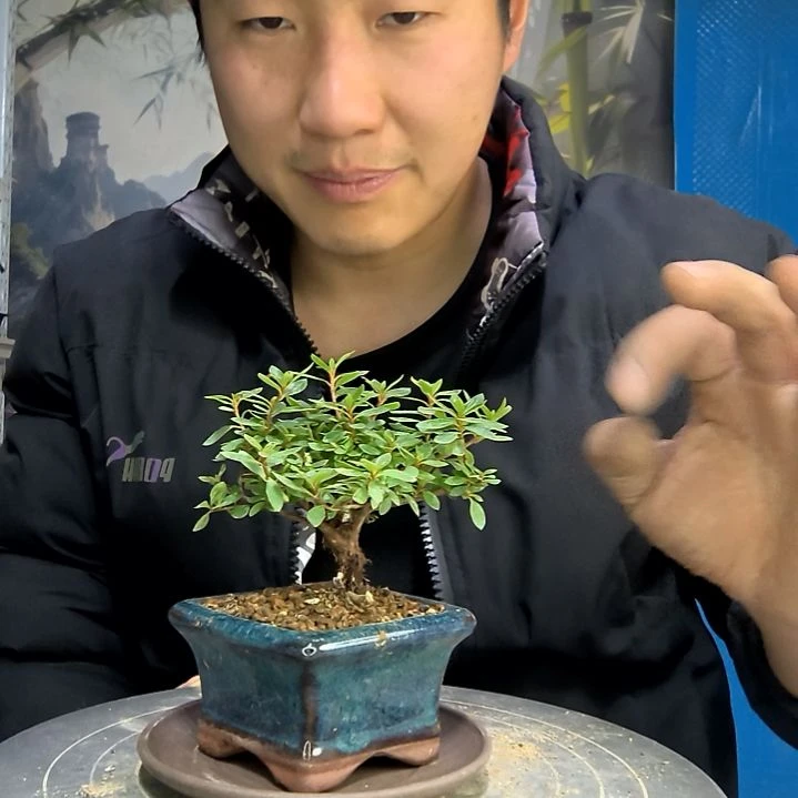 我**头中青园艺一物一拍花219