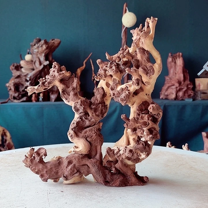 黑果木羽*492金丝红木羊蹄甲半成品