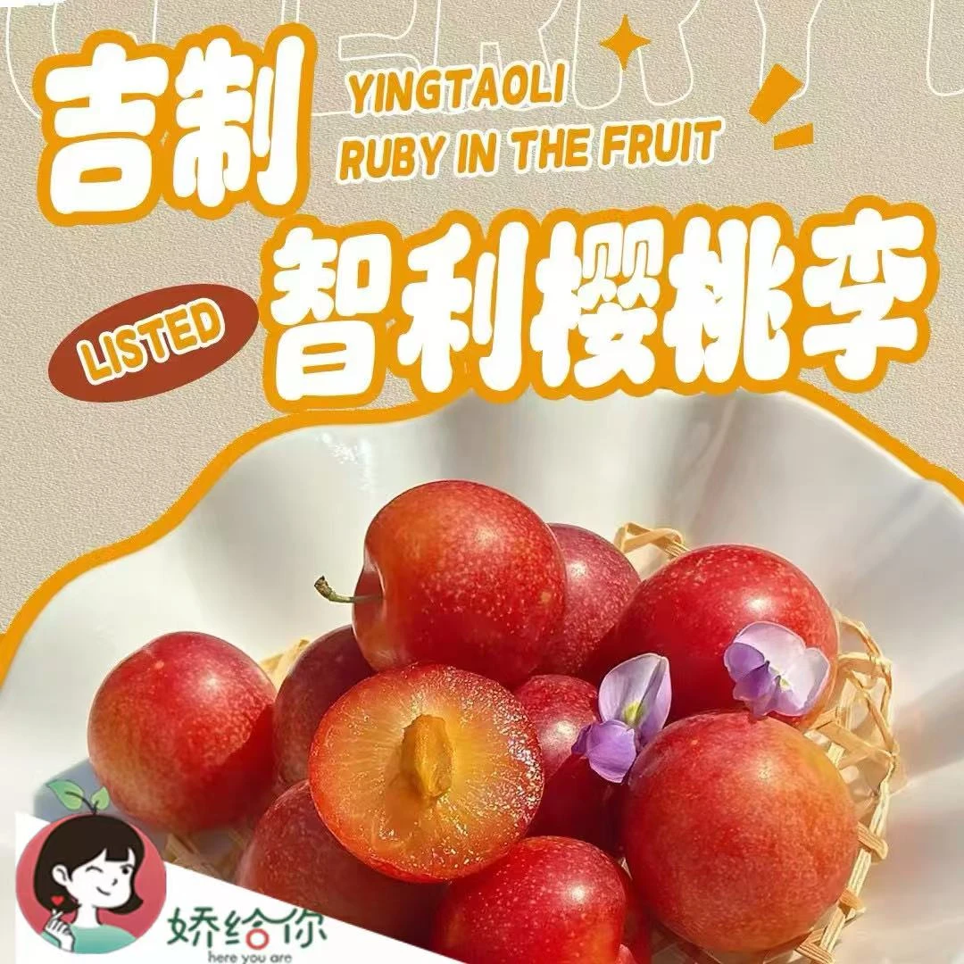 【顺丰包邮】智利海运 樱桃李5J   2-5斤原箱礼盒装 放软再吃