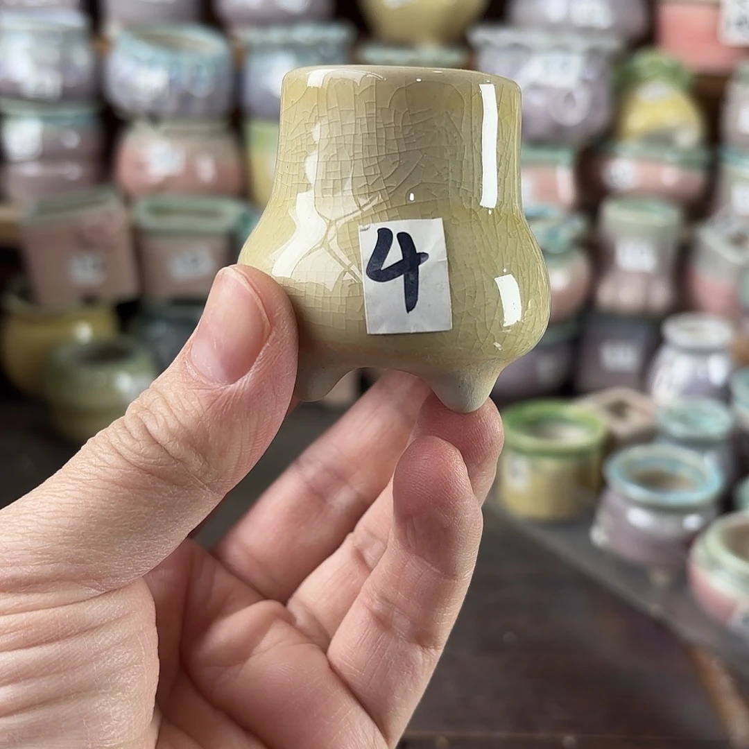 量货/口3高深浅搭配发12个