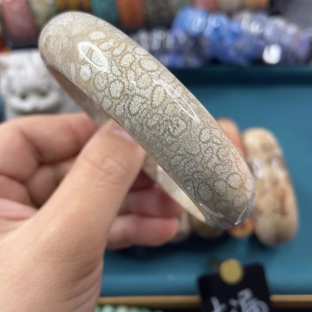 未镶嵌手镯硅化玉