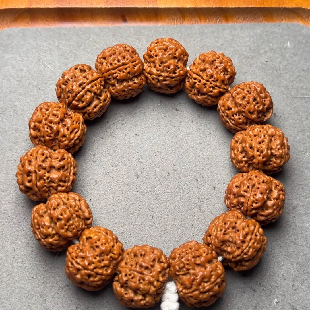 菩提16号金刚菩提蜂窝25