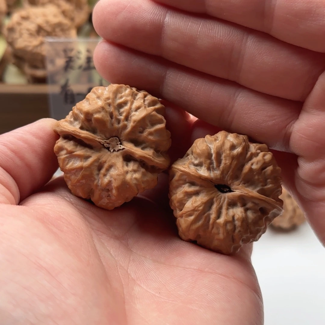 延庆蛤蟆山地果子