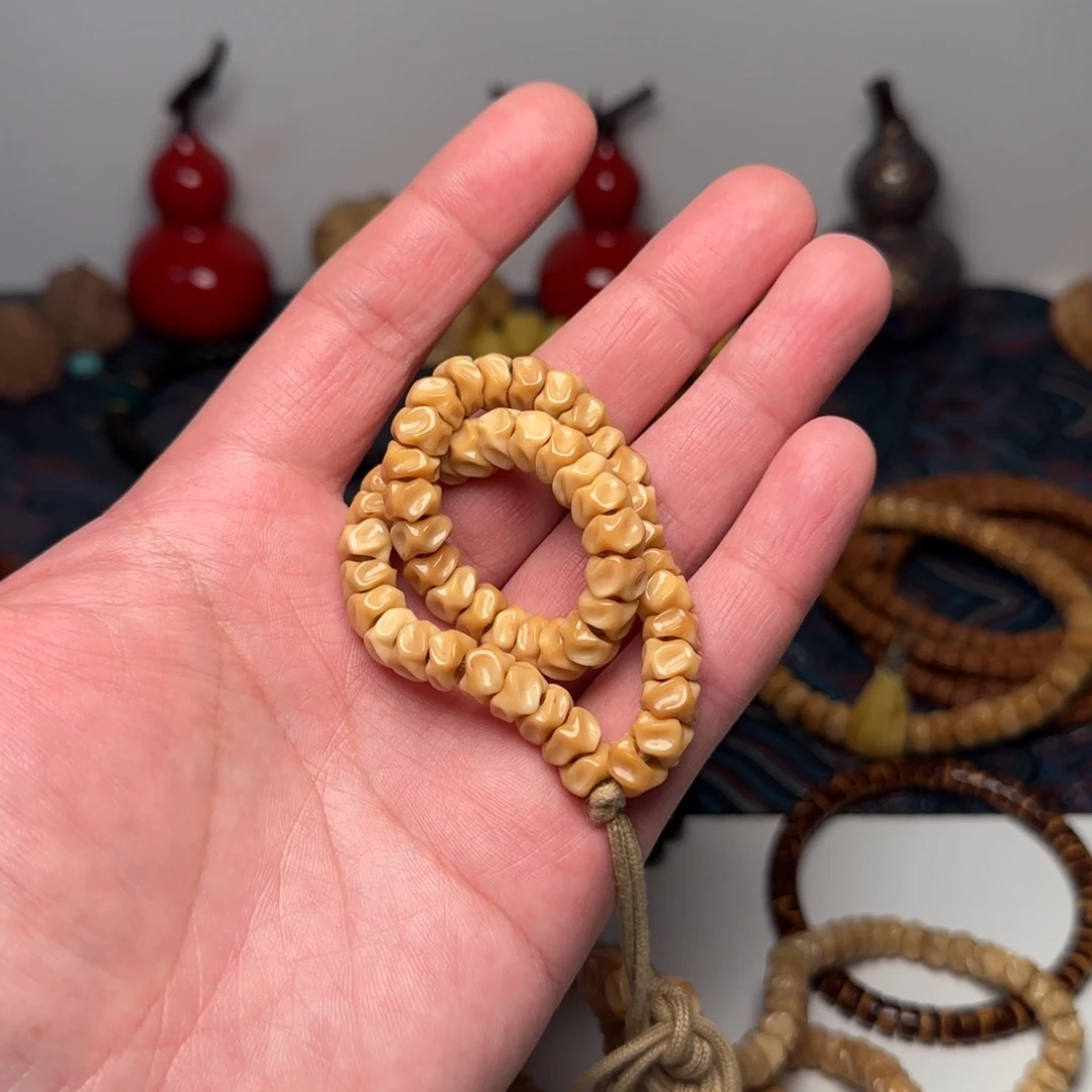 【闪购商品】吊坠椰蒂龙脊龙骨