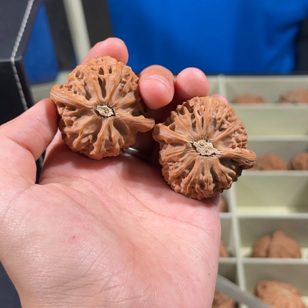 文玩核桃把件218号宫灯狮子头40-43mm