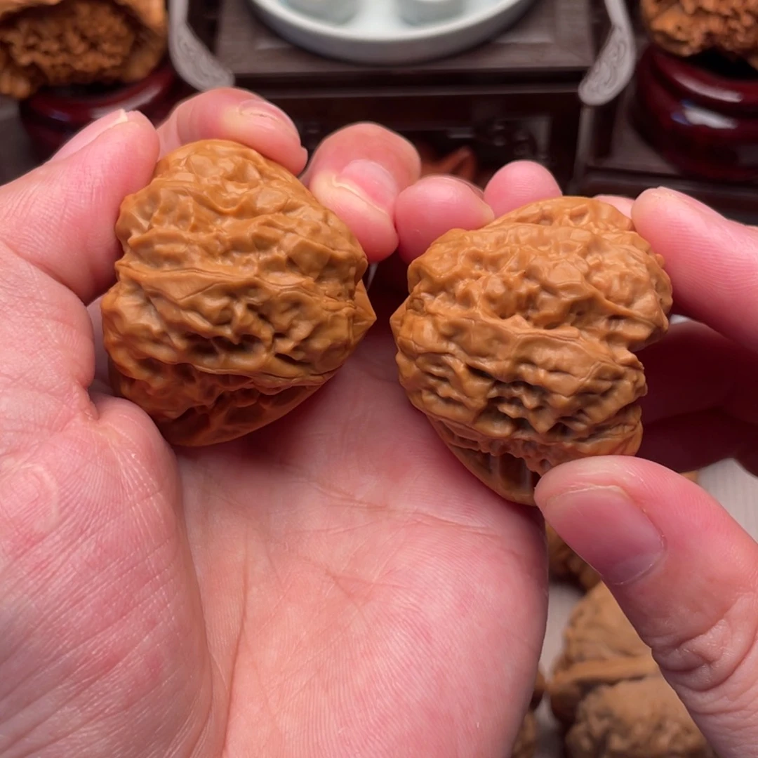 白**糖超级无敌正三角蛙41延庆