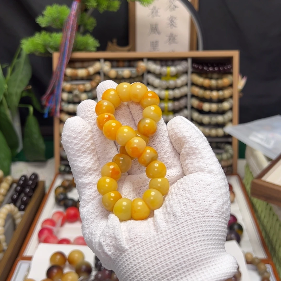 吊坠菩提根/象牙果卡13蒜瓣小黄花全品