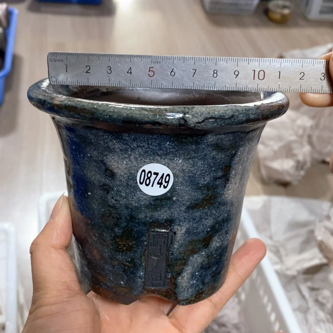 花盆拍3送一个小礼物