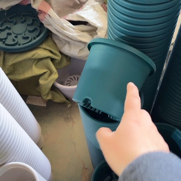 四季2号军绿无托12个