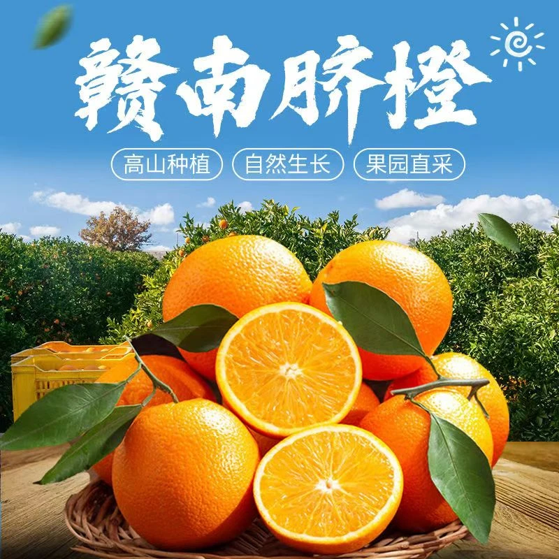 【带叶发货】正宗赣南脐橙寻乌高山甜橙子新鲜采摘产地直发10斤包邮