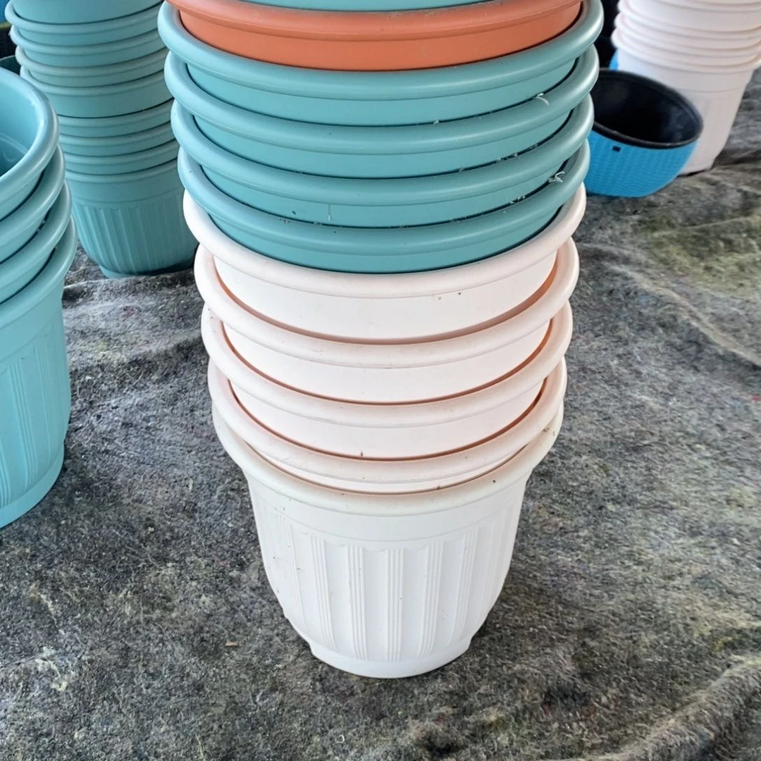 艾*11个28口罗马混搭瑕疵无托