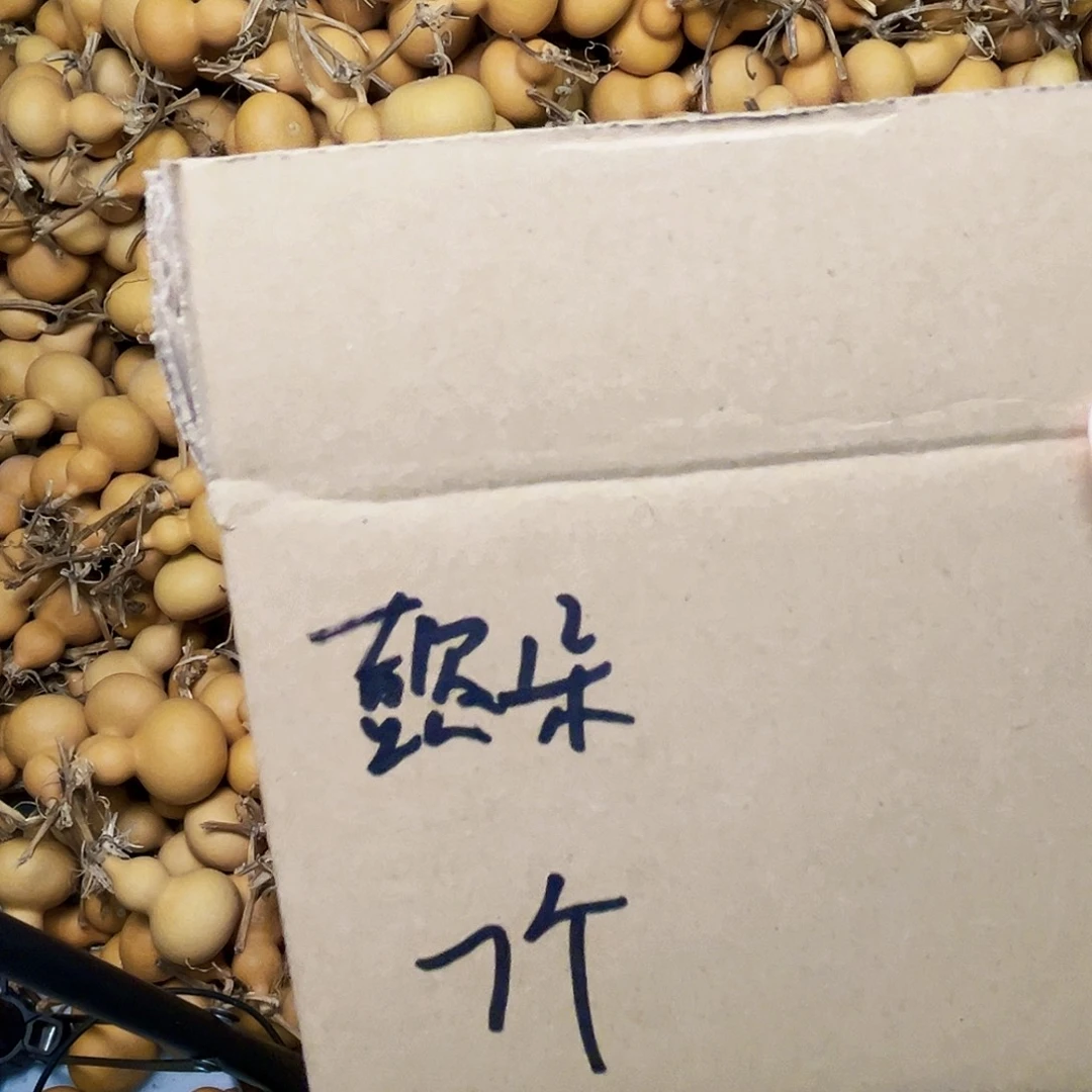 懿***朵天然小美葫芦七个小葫芦