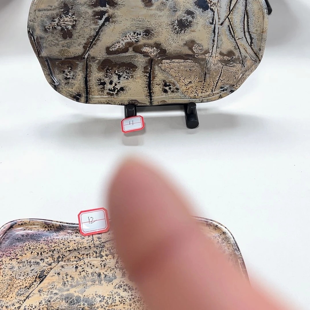 广西石天然国画石干泡台