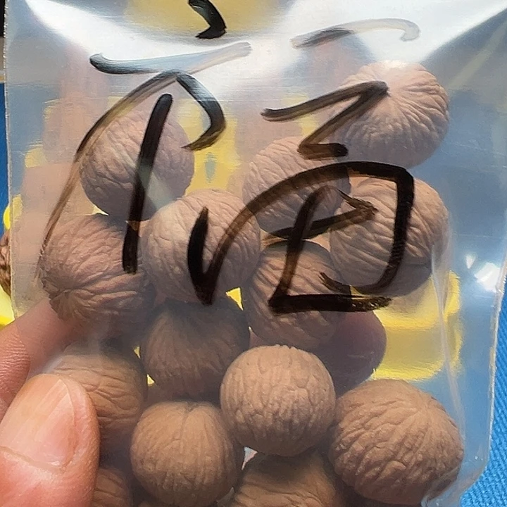 鲨***泪吊坠桃核猴头ddddd