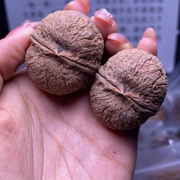 核桃云南野生铁核桃203号38mm