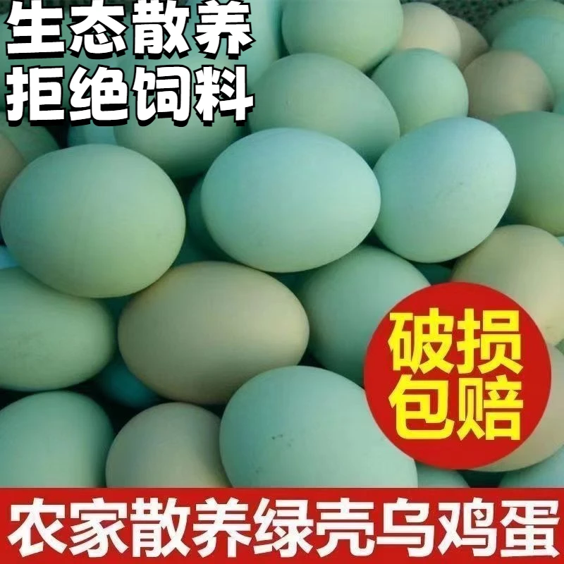 【助农】【新店开张】农村生态散养土鸡蛋乌鸡蛋月子蛋宝宝蛋初生