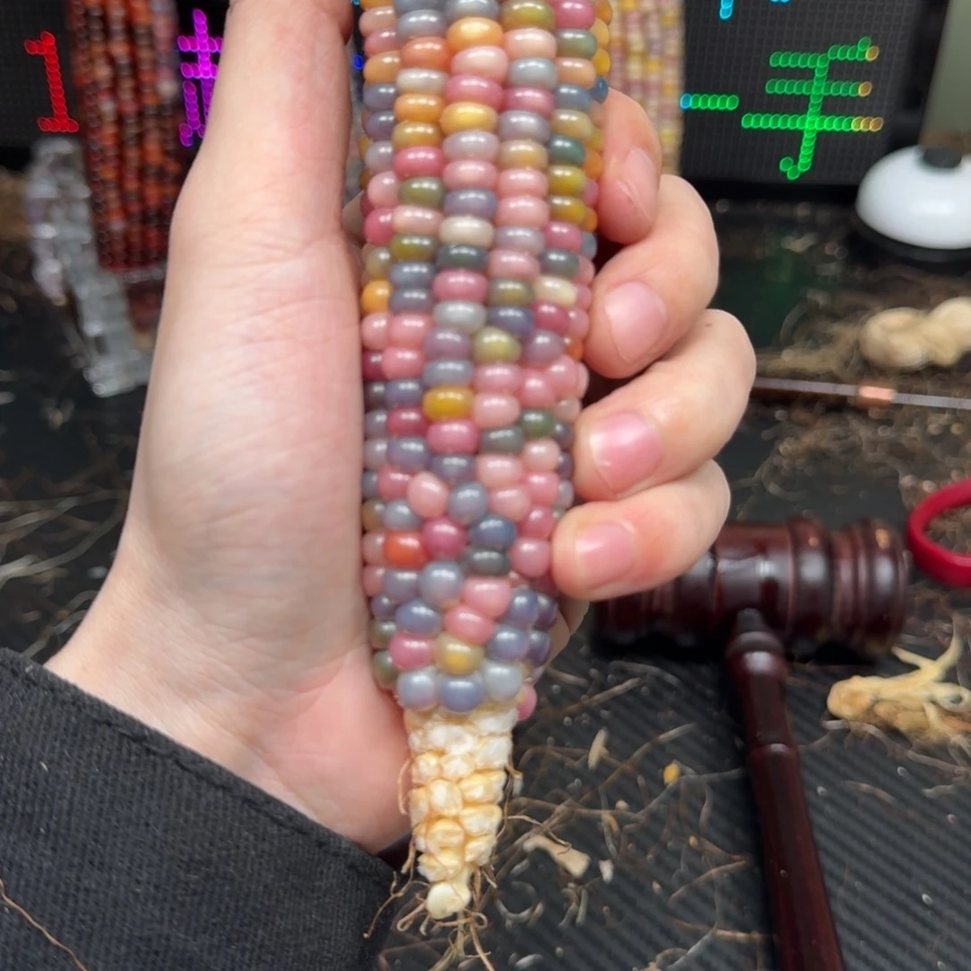 柏香籽/百香籽吊坠蛋**宝