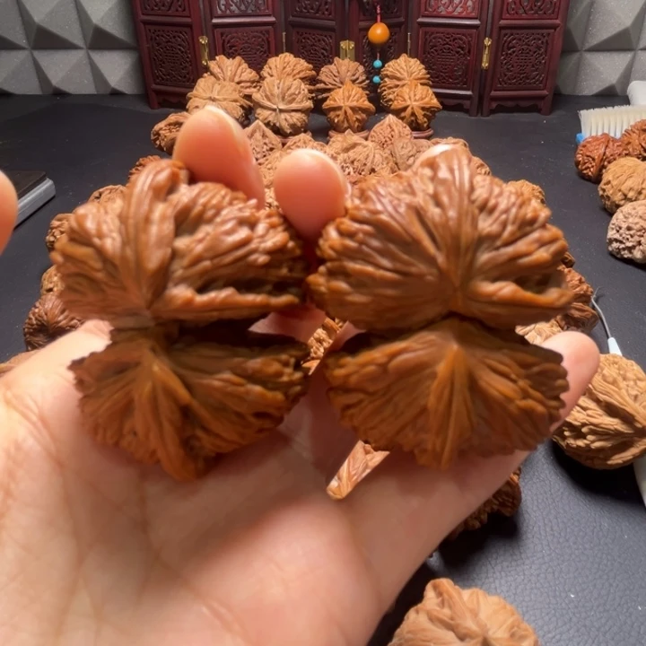 全品白狮子连体46尺寸核桃哈哈哈哈哈哈