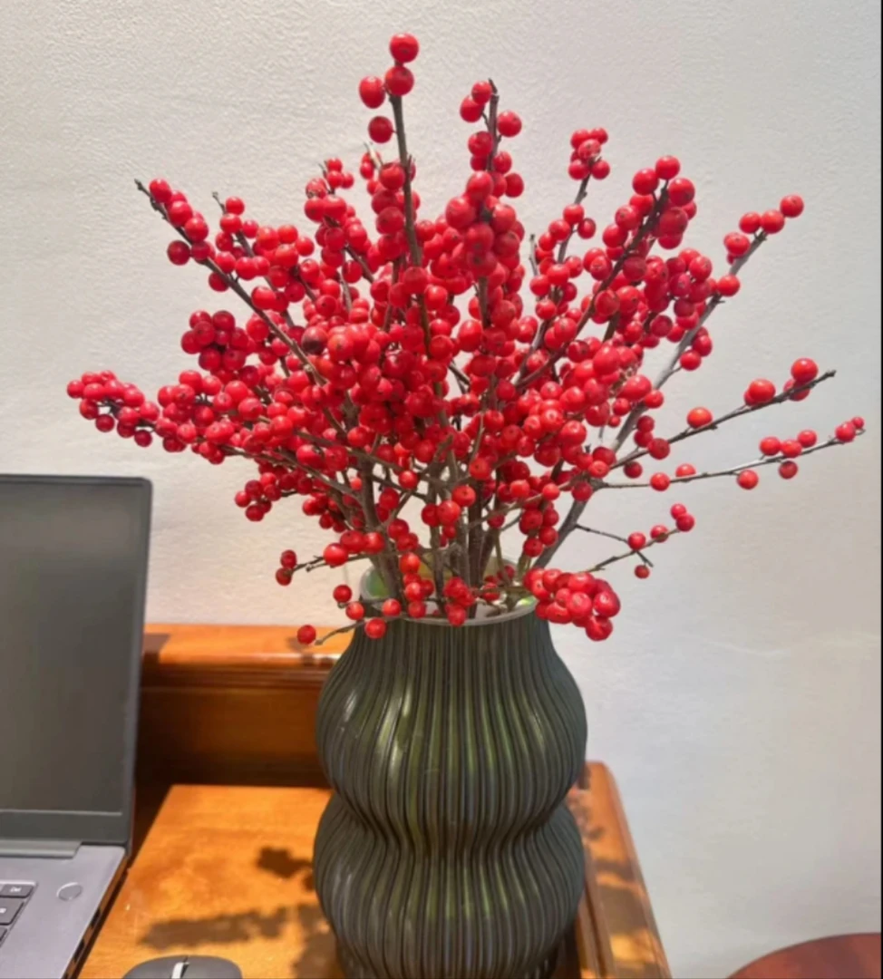 迷你款（带花瓶）北美冬青 鲜花年宵花中国红 顺丰包邮
