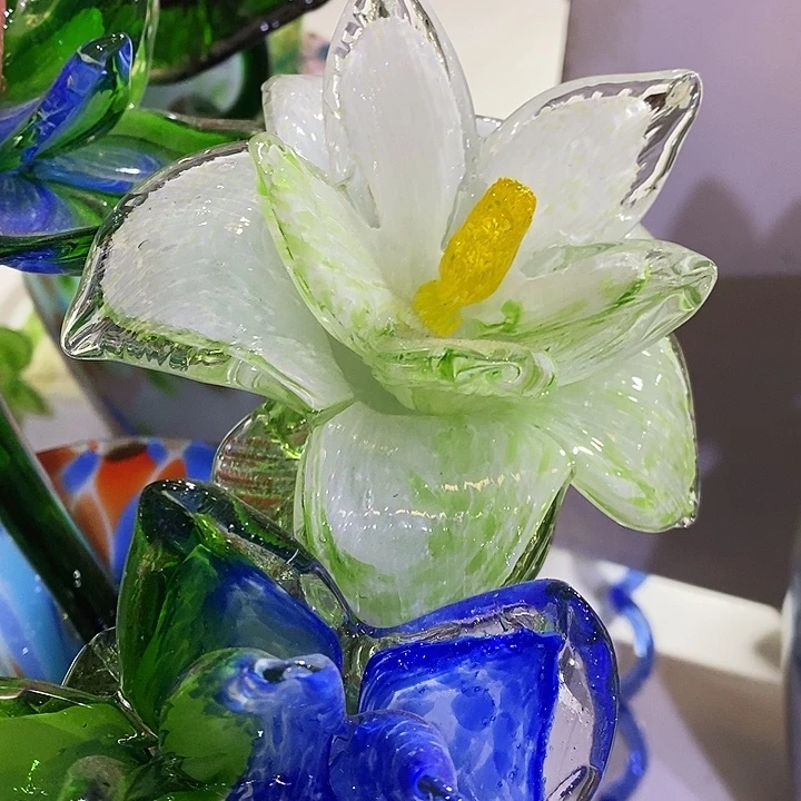 夜光花高45厘米宽12厘米