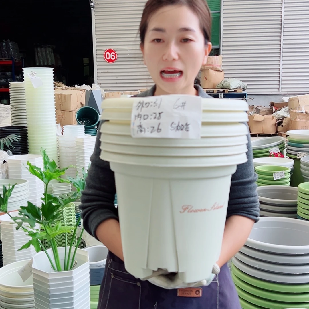 青山盆6#米白5个无托