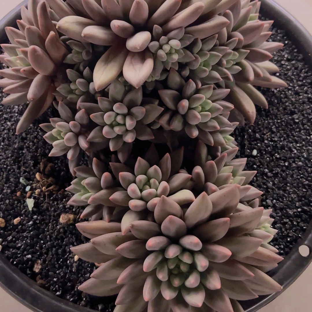 ****嫣88888888888888888888