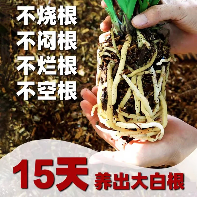 兰花植料（兰花土）无菌透气四季防虫 疏松透气
