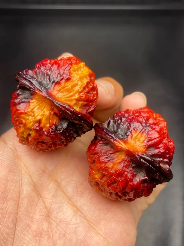 云南铁核桃 40-41尺七彩麒麟纹狮子发货图片同款随机一对