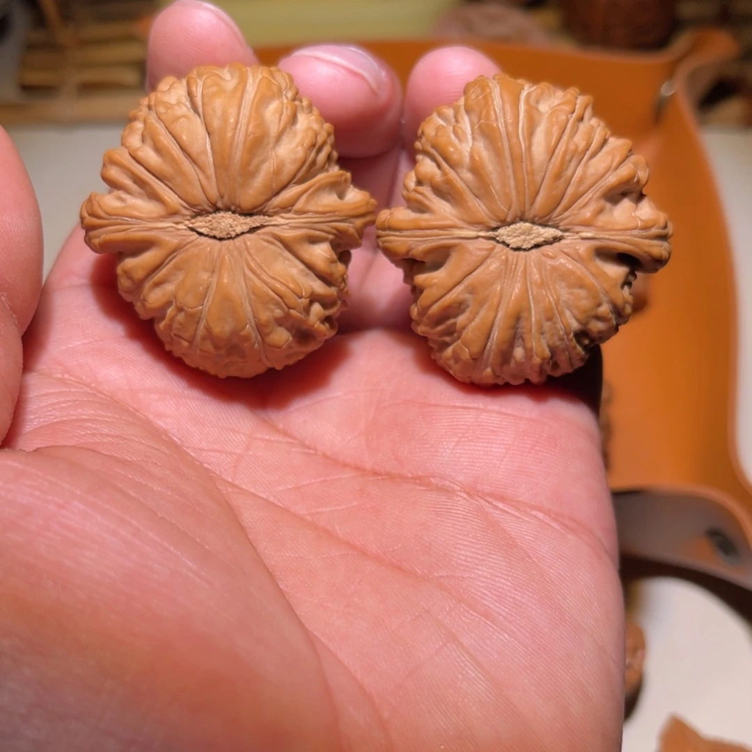 学***乎文玩核桃把件白狮子