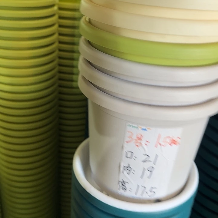 四季3号灰白无托10个特价
