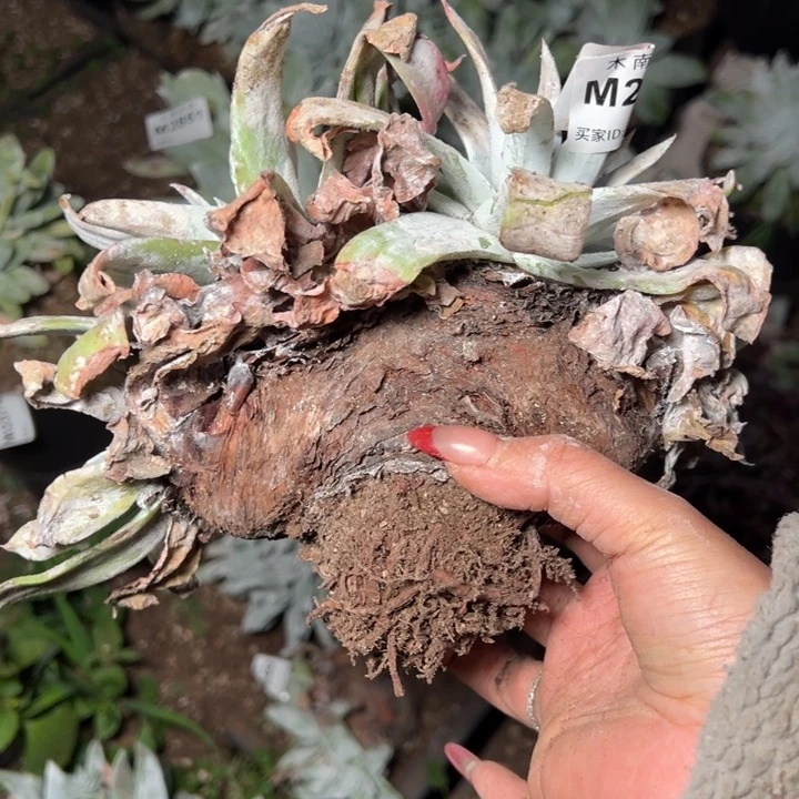 363哈哈哈哈哈哈哈哈