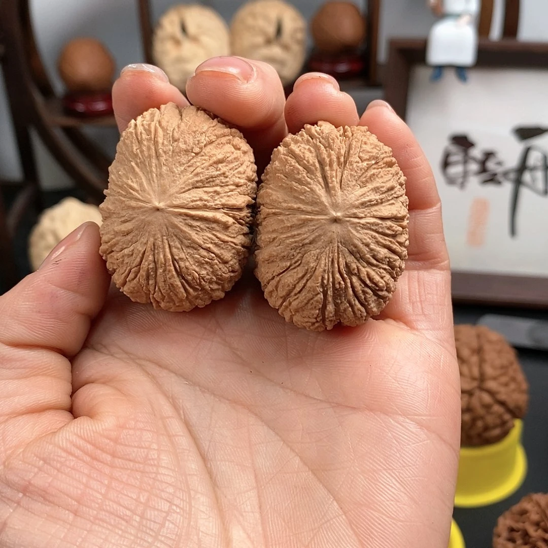 文玩核桃把件金*元宝猴头41