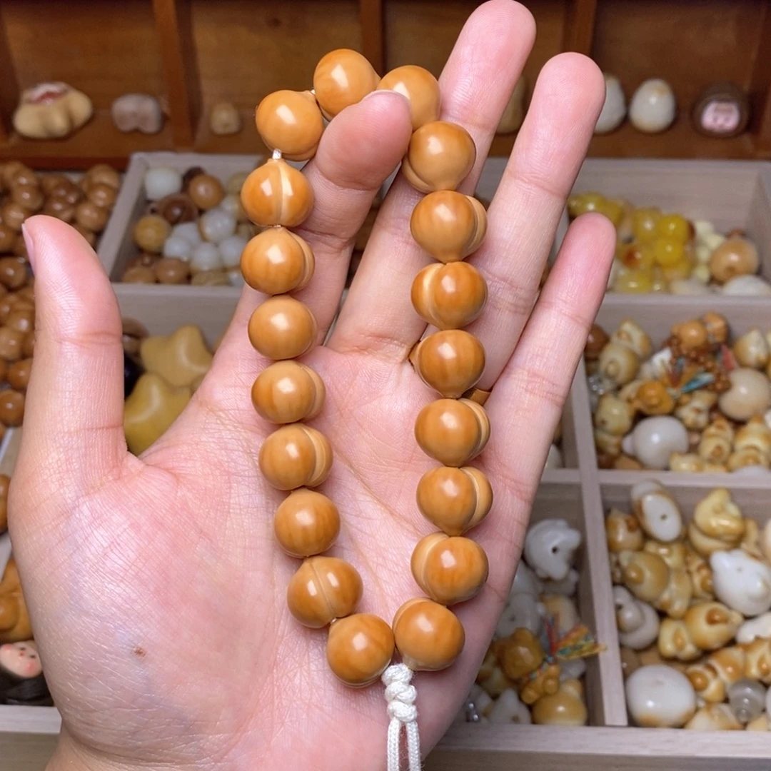 手串猴头核桃13.14柯基小肥臀