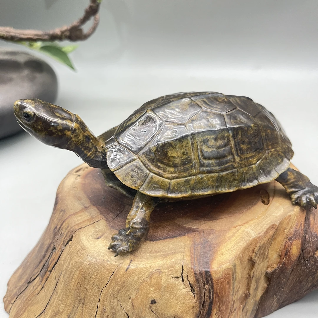 境缘造物硅青铜材质铸造金钱龟长寿龟财气办公室茶室开业乔迁送礼