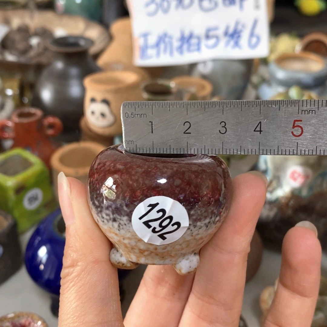 拍5送一个小礼物