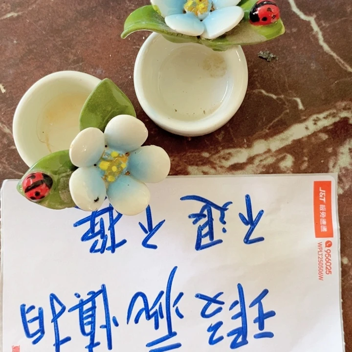 陶瓷树脂家居摆件