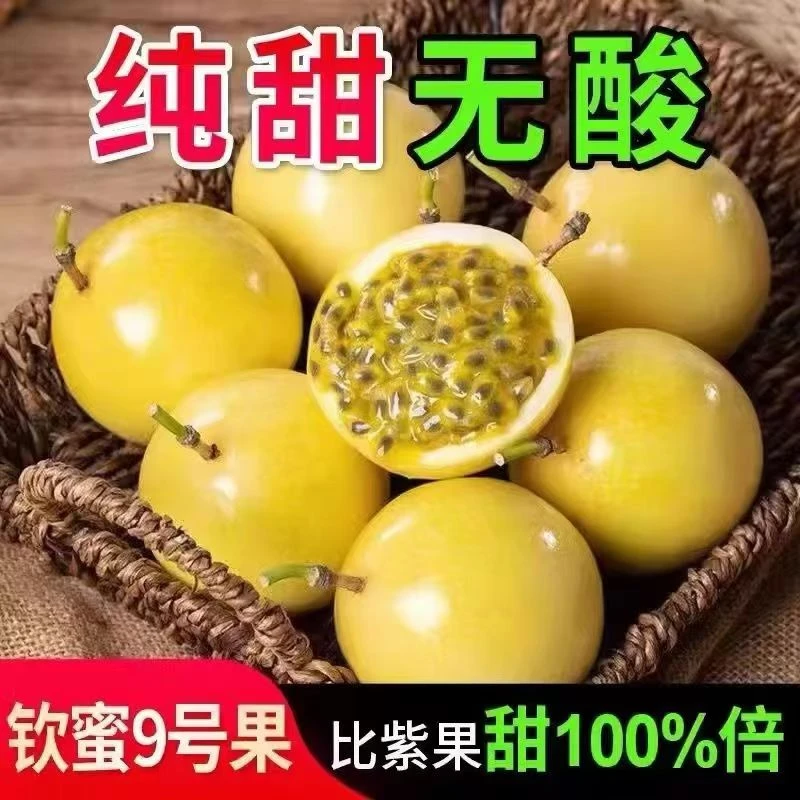 正宗钦蜜9号黄金百香果新鲜当季现摘精选好果孕妇水果广西百香果