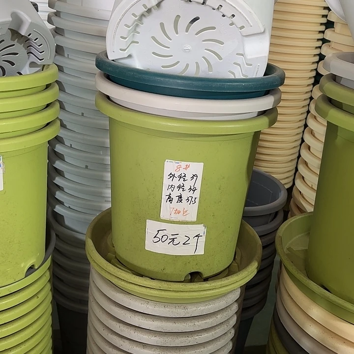 微瑕8#口径39无托果绿3个